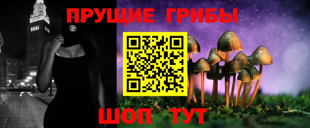 Скопин  Галлюциногенные грибы ЛСД  Вход с VPN 